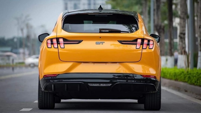 Ford Mustang Mach-E - Ảnh 7